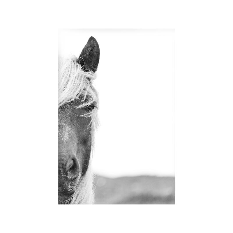Animal Side Face Portrait Modern Wall Canvas Print Wild Life Art Poster Black and White Photo For Living Room Home Decor Cuadros