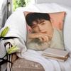 Actor Cha Eun Woo  Pillowcases Merch Printed Cushion Cover  Pillow Covers Chair Decoration Square Multiple Sizes