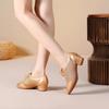 Scarpe da Danza Latina in Rete da Donna Scarpe da Insegnante Sneakers da Jazz Altezza Tacco 3,5 cm