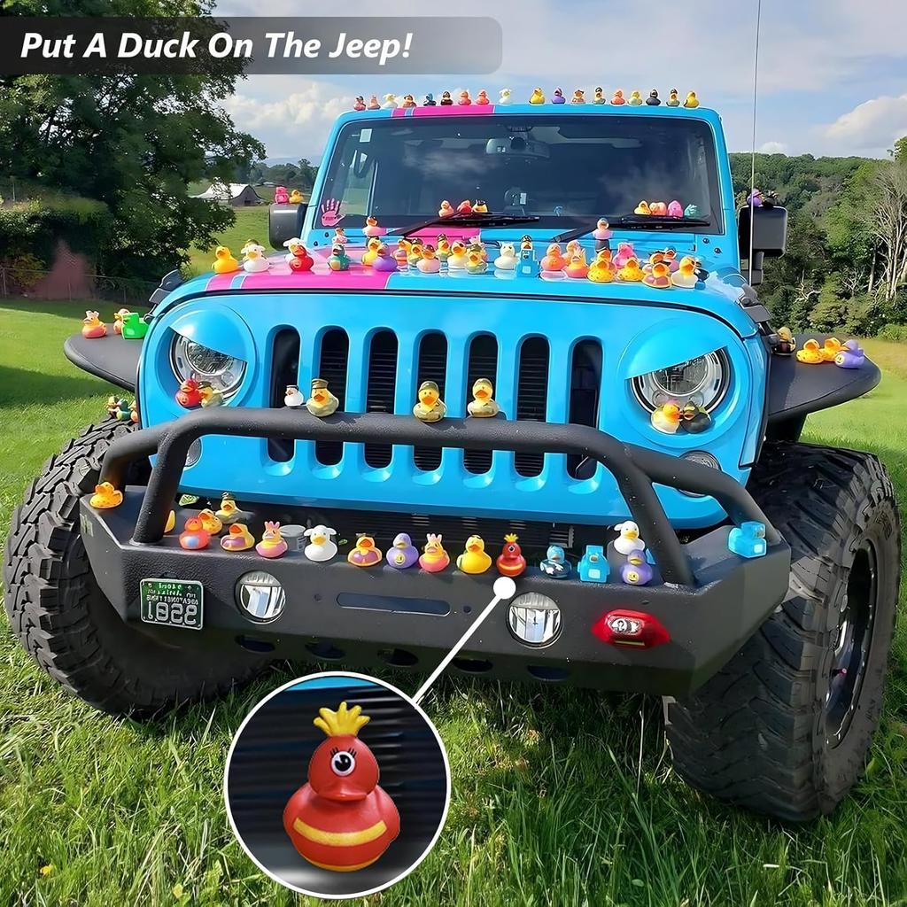 50 Pack Rubber Ducks in Bulk,Assortment Duckies for Jeep Ducking Floater Duck Bath Toys Party Favors