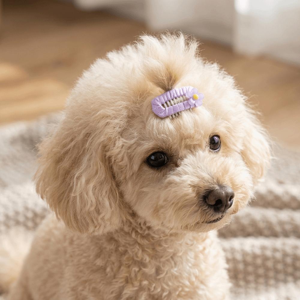 10Pcs Organza Bow Dog Hair Clip Mixed Colors Dog Bow Clip Pet Head Flower Dog Grooming