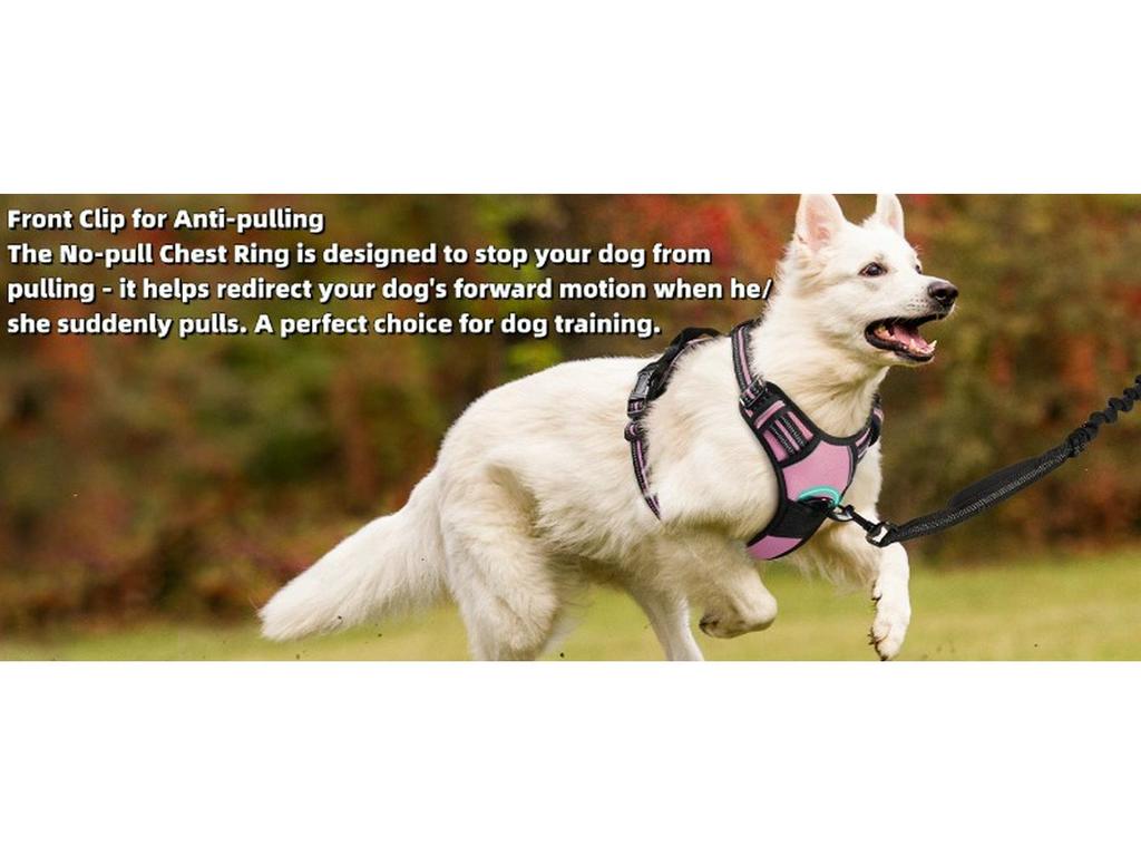 Dog Nylon Chest Harness and Leash for Large Pets