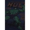 Hulk Mens Rage T-Shirt