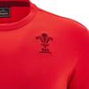 Wales Unisex Adult 2025 Macron Logo T-Shirt