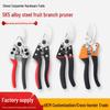 Labor-saving Pruning Shears for Gardening - Ideal for Thick Branches and Fruit Trees
