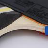 DHS F3000 3-Star Table Tennis Racket
