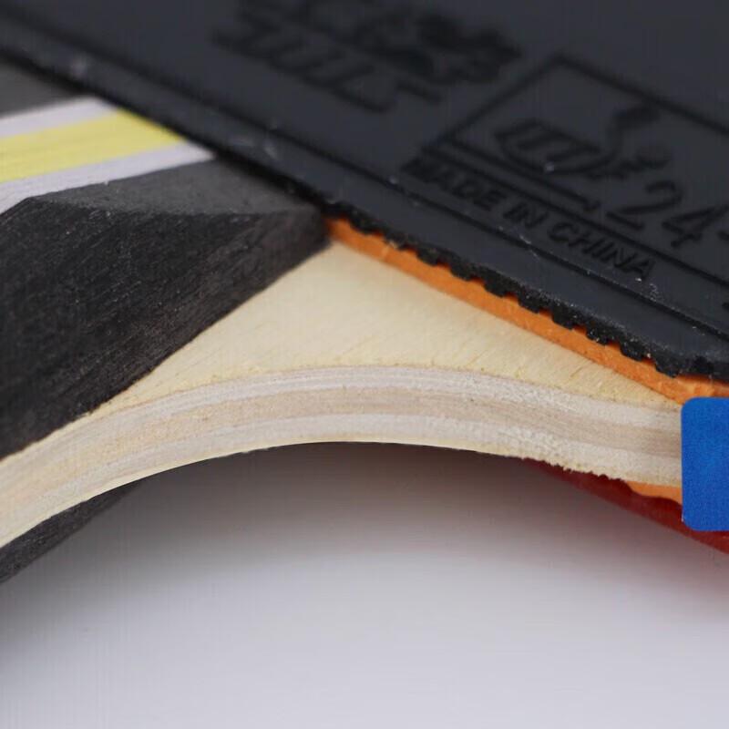 DHS F3000 3-Star Table Tennis Racket
