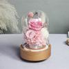 Preserved Roses Music Box Sweet Preserved Flowers Music Box for Mothers Day Decor Gift