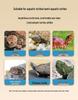 Turtle Tank with Basking Platform - Ideal for Brazilian Turtles, Living Room Display, or Small Home Use