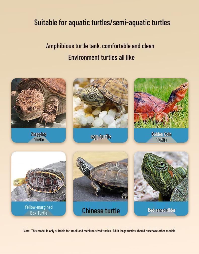 Turtle Tank with Basking Platform - Ideal for Brazilian Turtles, Living Room Display, or Small Home Use