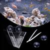 Multifunction Aquarium Acrylic Red Worm Brine Shrimp Feeder Fish Feeding Cup with Suckers