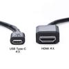 SANWA SUPPLY To HDMI Conversion Cable Male To HDMI Type-C (USB Type-C Male), 3m, Black, KC-ALCHD30