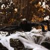 Realistic Halloween Plush Spider Creative Halloween Decoration Gift Giant Fake Spider  Plush Toy