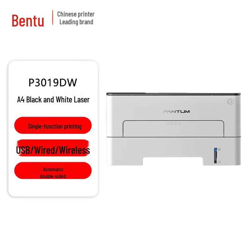 

Pantum P3019DW Black and White Laser Printer CN plug (adapter included)