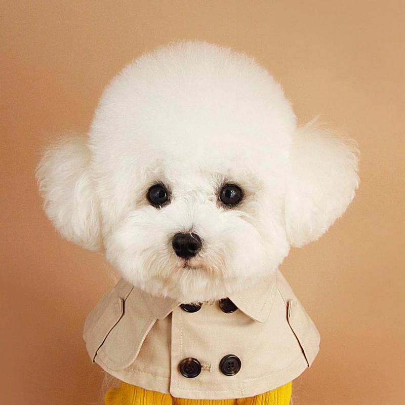 Roupas de Inverno para Cães Estilo Britânico Roupas para Animais de Estimação para Cães Pequenos e Médios Teddy Chihuahua Filhote Animal de Estimação Babador Teddy Corta-vento Capa