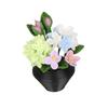 1/12 Miniature Potted Flower Model Figurine For Doll House Scene Display Accessories Microlandscape Setting Props