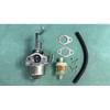 OEM HUAYI Vergaser-Kit Predator 79cc 99cc 68124 69733 Benzinmotor Fracht