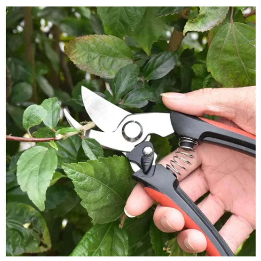 2Pcs Garden Pruning Shears Labor Saving Fruit Tree Thick Branch Pruning Shears Gardening Scissors Tools