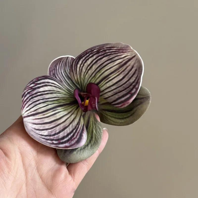 Butterfly Orchid Flower Hair Claw Women Elegant Ponytail Clip Shark Clip Acrylic Temperament Headdress Large Shark Clip Female