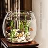 Modern Round Fish Bowl PET Plastic Perfect As Desktop Or Table Decoration For Kids And Adults