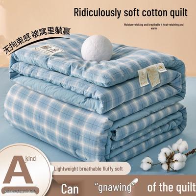 2025 All-Season Quilts: Thick Washed Cotton for Winter, Xinjiang Cotton for Summer, and Versatile Spring/Autumn Comfort