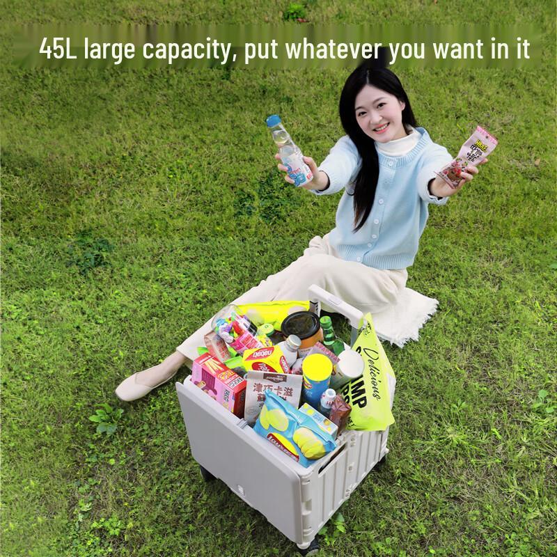 Deli Foldable Rolling Storage Crate with Pull Handle