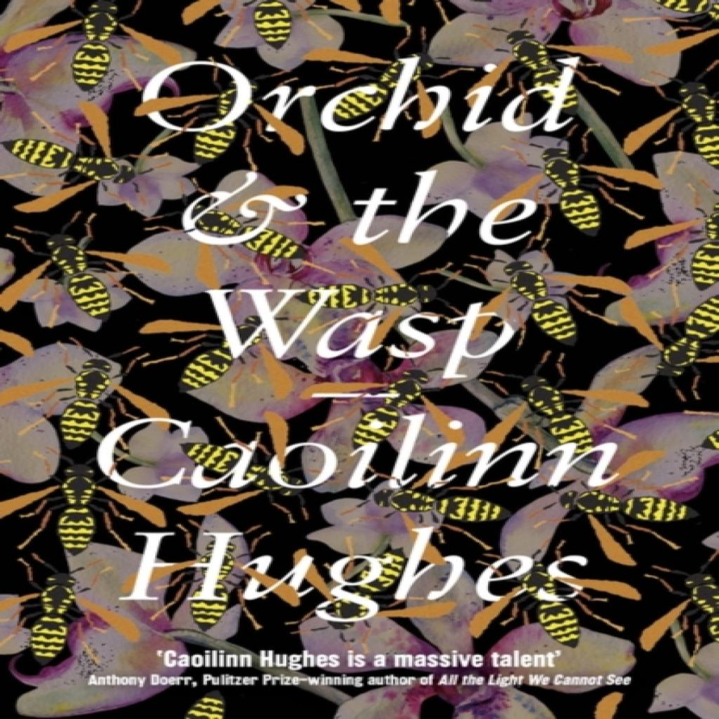 Orchid Amp the Wasp by Caoilinn Hughes Paperback Book 9781786074997