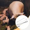 3x Pig Midwife Tools Kit Premium Stainless Steel for Cow Farm Animals