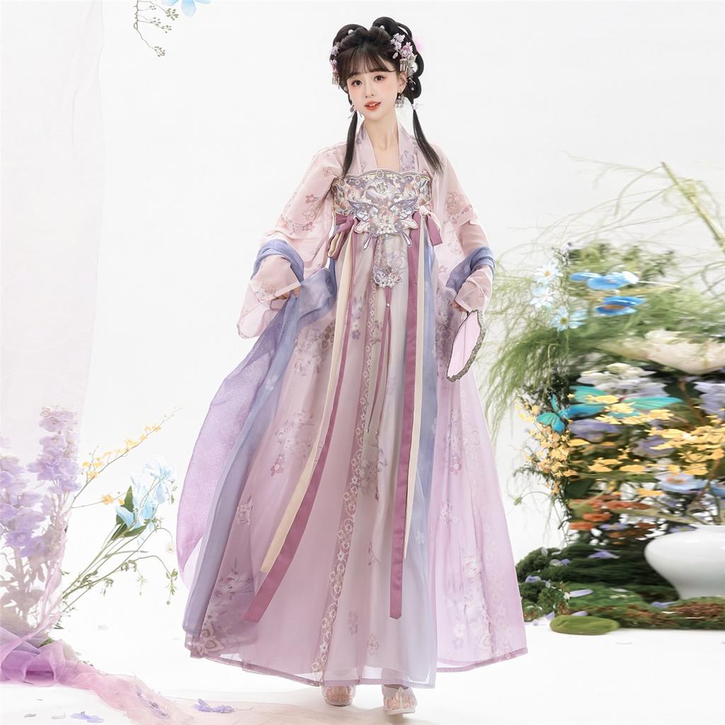 Women Tang Dynasty Hanfu Set Embroidered Qi Xiong Ru Qun Traditional Chinese Dress Daily Cosplay Outfit