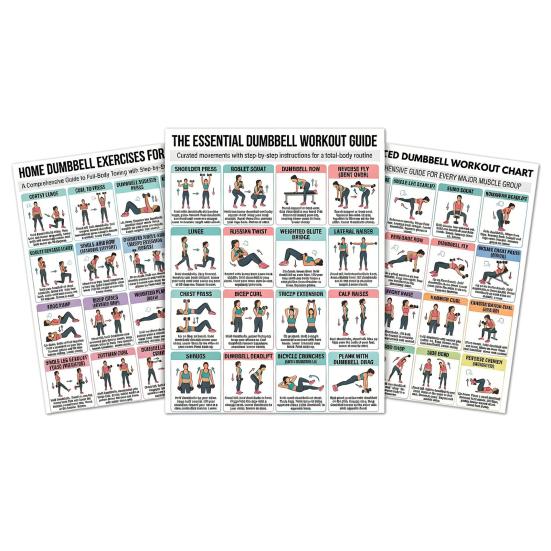 

3Pcs Chair Tai Chi Exercise Poster Set Seated Workout Chart for Seniors Low Impact Balance Strength Training Guide A