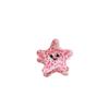 Hair Clip Starfish Hair Claw Acetic Acid Mini Hair Claw Retro Cute Hair Crab Clip  Women