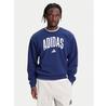 Adidas Collegiate Hoodie