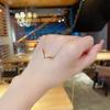 Niche design sense does not fade clavicle chain new fashion simple neck chain Japanese and Korean all-match light luxury titanium steel necklace women