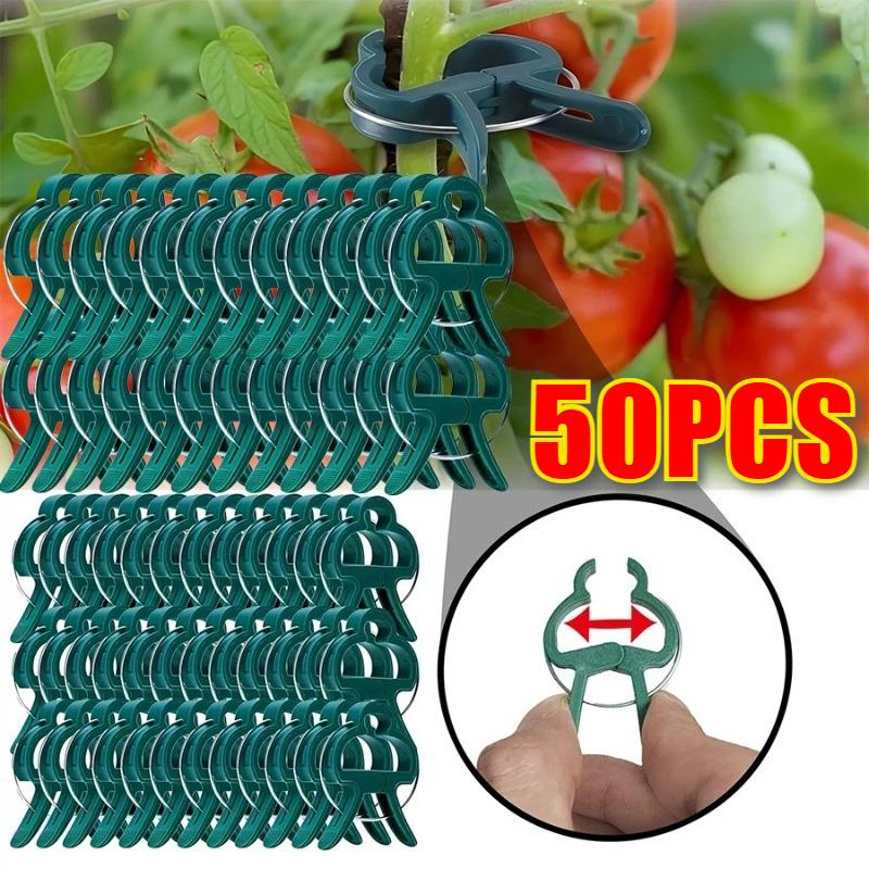 Plant Support Clips for Climbing Plants,Garden Vine Fixing Clips for Tomato Vegetable Vines for Backyard Farm Gardening Daily Plant Care Work