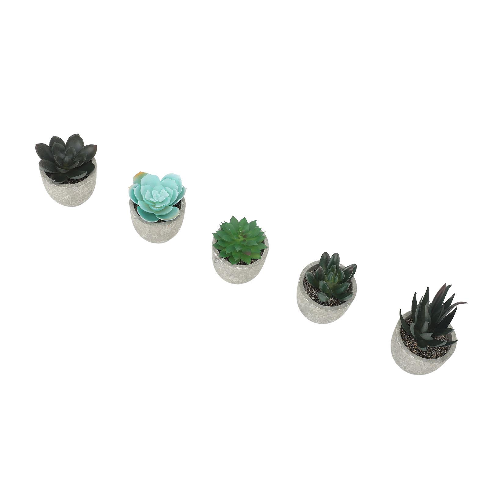 5pcs Artificial Succulent Plants Potted Assorted Mini Decorative Faux Succulent Potted Fake Plants Succulents in Paper