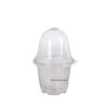Transparent 4" Phalaenopsis Flower Pot, Insulated & Breathable, Thickened Two-Tone Design with Lid.