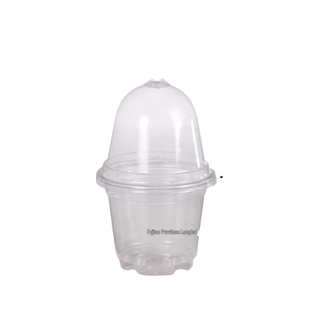 Transparent 4" Phalaenopsis Flower Pot, Insulated & Breathable, Thickened Two-Tone Design with Lid.