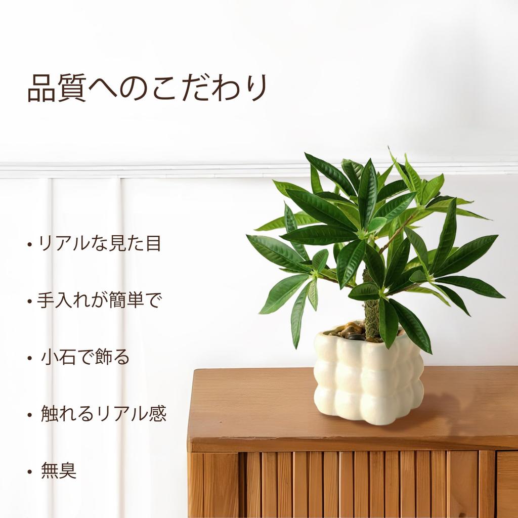 Photocatalytic Artificial Green Mini Houseplant, Tropical Houseplant, Money Tree, Ceramic Square Pot, Artificial Flower, Fake Plant, with Pot, Stylish