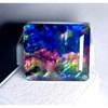 Stunning Opal-Like Organic Ammolite Doublet Natural 30+ Ct Certified Gemstone