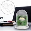 Hemoton Glass Display Dome,Clear Glass Dome for Micro Landscape DIY,Clear Cloche Bell Jar Terrarium Display Bottle,Decorative Case for Plants