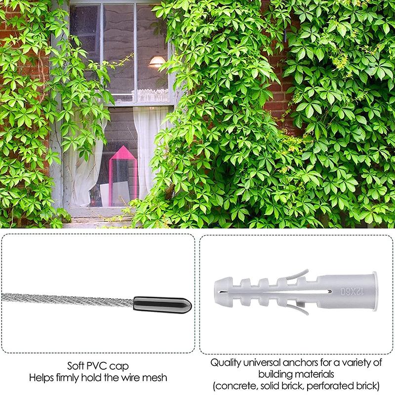 SGYM Stainless Steel Wire Cable Trellis System Kit For Climbing Plants Vines And Green Wall With Wall Brackets 10 Holders