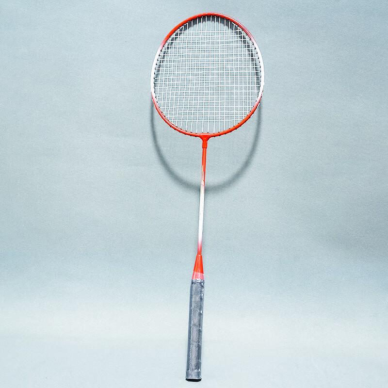 Benxin Adult Badminton Racket Set