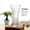 Extra Large Transparent Glass Vase, 50cm Height, Wide Diameter for Flower Arrangements, Living Room Decor, Hydroponic Lucky Bamboo