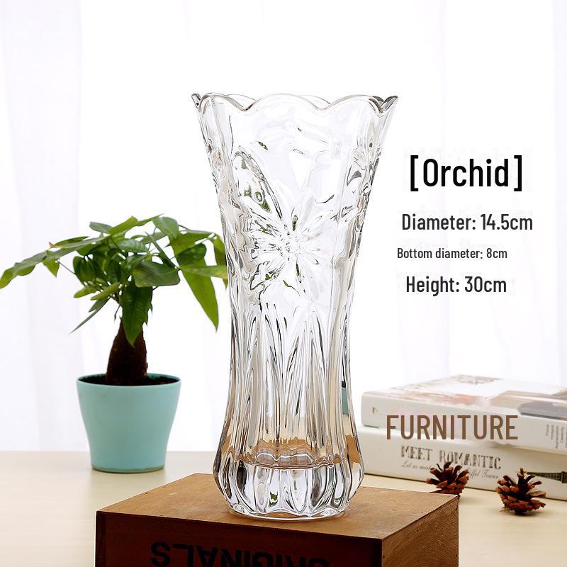 Extra Large Transparent Glass Vase, 50cm Height, Wide Diameter for Flower Arrangements, Living Room Decor, Hydroponic Lucky Bamboo