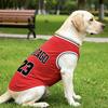Giyim ve ayakkabı – Köpekler için yelekler ve gömlekler