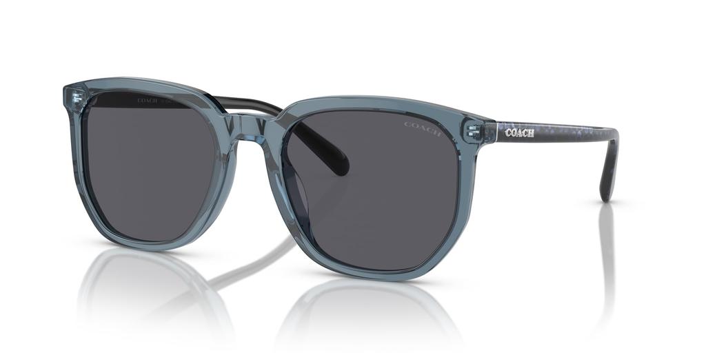 Sunglasses HC8384U CL911 TRANSPARENT BLUE 55 [Coach]