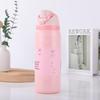 Large Capacity Stainless Steel Vacuum Insulated Fruit Cup & Sports Bottle