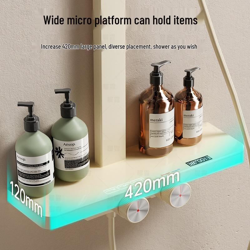 Pressurized All-Copper Shower Head with Gray Digital Display and Storage Set