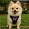 Soft Dog Chest Strap Adjustable Dog Traction Rope Collar Practical Dog Chest Vest  Daily Walk