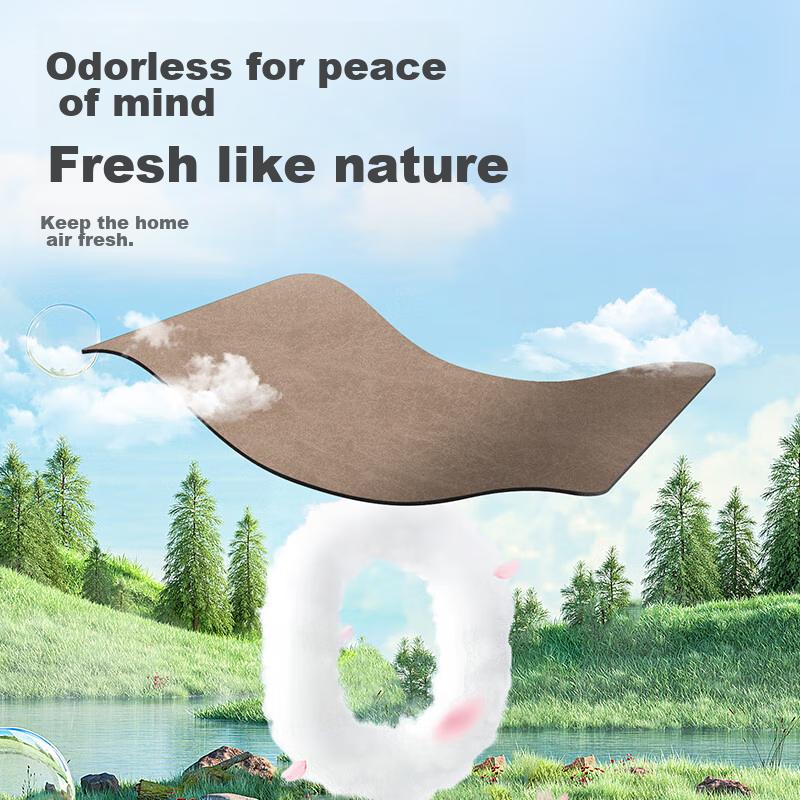 Dajiang Bathroom Mat, Non-Slip Bath Mat, Entrance Mat, Absorbent Floor Mat, 40x60cm